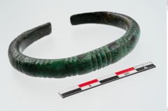 Foto von Bronzeperlarmeif (NHMW-PRAE-024284)